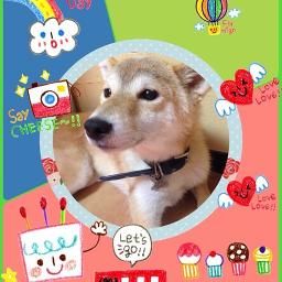 とんちんかんちん一休さん オープニング Song Lyrics And Music By 一休さん Arranged By Rimirimi Ri On Smule Social Singing App