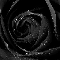 aykiri yollarina ai2ci song lyrics and music by serkan nisanci tugba basaran arranged by ai2ci on smule social singing app