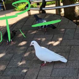 Jazz うれしい たのしい 大好き Song Lyrics And Music By Dreams Come True ドリカム Arranged By Nakachan Mdrs On Smule Social Singing App