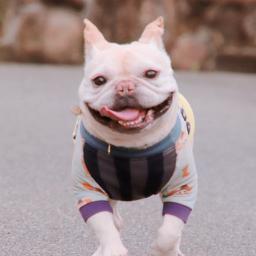 高音厨音域テスト Song Lyrics And Music By 初音ミク Arranged By Nucorin On Smule Social Singing App