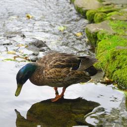 タワー オブ テラー キャストセリフ Song Lyrics And Music By Disney Arranged By Youtasu12 On Smule Social Singing App