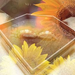 いま 太陽に向かって咲いてく花 Song Lyrics And Music By Nobu Arranged By Satoshi 00 On Smule Social Singing App いま 太陽に向かって咲いてく花 Song Lyrics And Music By Nobu Arranged By Satoshi 00 On Smule Social Singing App