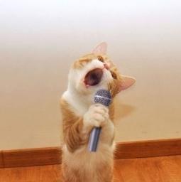 www.smule.com