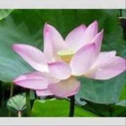 Sợ Yêu - beat - Song Lyrics and Music by karaoke ... - Smule