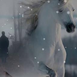 я живу не унываю эдуард хуснутдинов song lyrics