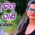 Rimjhim pani barsi gala best sale sambalpuri song