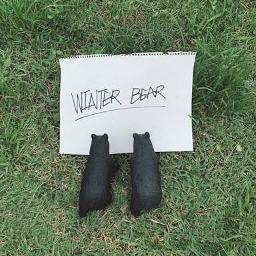 Winter Bear (girl ver.)