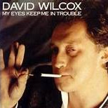 david wilcox riverboat fantasy lyrics