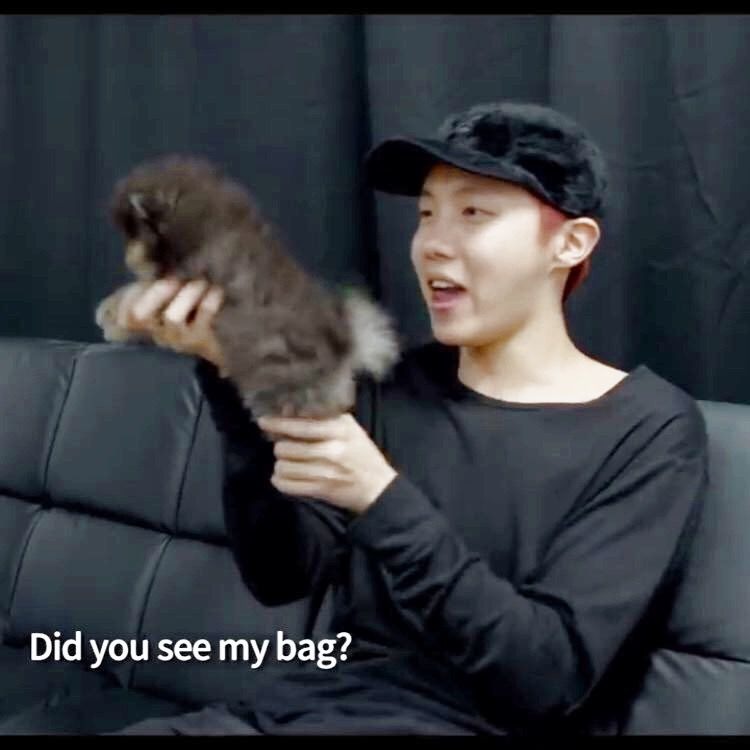 did-you-see-my-bag-song-lyrics-and-music-by-jhope-arranged-by-jkook