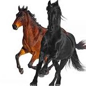 Old Town Road [REMIX]