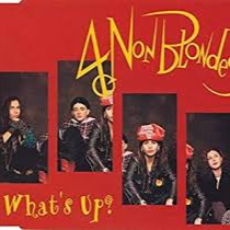 4 non blonde what's up lyrics