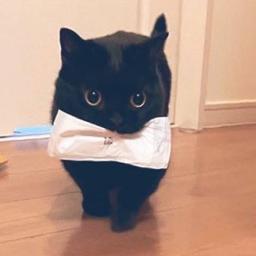 黒猫のタンゴ Song Lyrics And Music By 皆川おさむ Arranged By Antanmama On Smule Social Singing App