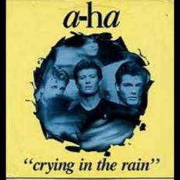 Crying In The Rain