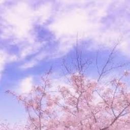 サクラ 卒業できなかった君へ Song Lyrics And Music By 半崎美子 Arranged By Nucorin On Smule Social Singing App