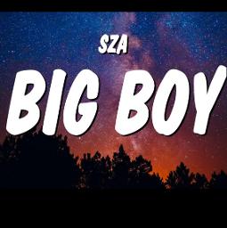 Big boy #bigboy #sza #lyrics #singalong #sing #karaoke #fyp #foryou #f