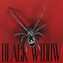 BLACK WIDOW - Song Lyrics And Music By Alok, Kickbait & CERES ...