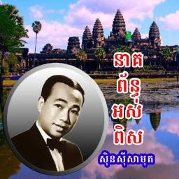 នាគព័ន្ធអស់ពិស