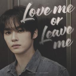 Love me or Leave me [SKZ-RECORD]
