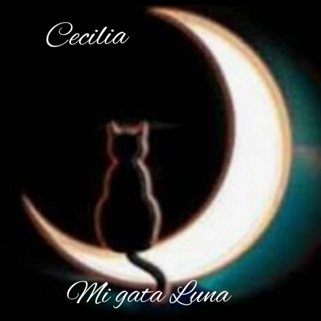 Mi Gata Luna - Song Lyrics And Music By Cecilia Arranged By Gloria 