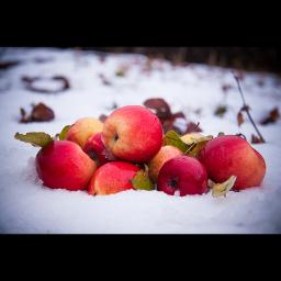 Яблоки на снегу - оригинал минус