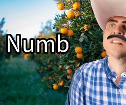 Numb (Bluegrass Cover)