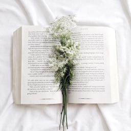 サムライソウル ウルフルズ Song Lyrics And Music By Null Arranged By 05makoneeny On Smule Social Singing App