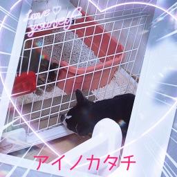 Kiyoshi1 3 S On Smule Smule Social Singing Karaoke App