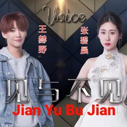 见与不见 / Jian Yu Bu Jian - Song Lyrics and Music by 张碧晨 ( Zhang Bi Chen ...