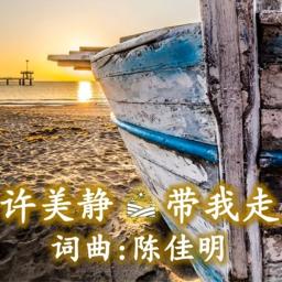 带我走 Dai Wo Zou - Song Lyrics and Music by 许美静 Xu Mei Jing (Mavis Hee ...