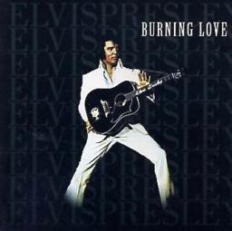 Burnin' Love - Burning Love RPO Key lower