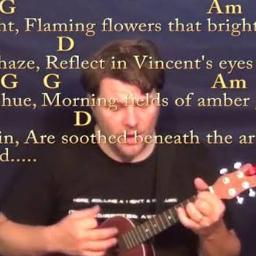 Vincent( starry, starry night) Acoustic