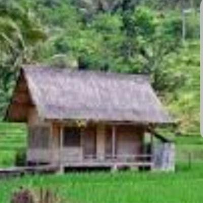 100% Original Bambu Bambu Bambu Bambu Bambu Bambu Bambu Bambu Meggy Z
