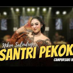 💗🌿SANTRI PEKOK 🌿💗