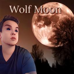 Wolf Moon - Wolf Moon