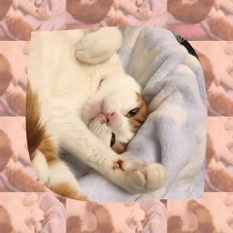 らいおんハート Inst Song Lyrics And Music By Smap Arranged By Ei3617ab On Smule Social Singing App