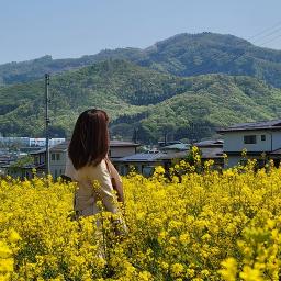 夏の花は向日葵だけじゃない Song Lyrics And Music By 欅坂46 今泉佑唯 Arranged By Yuuyuu15 On Smule Social Singing App