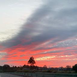 Hana 花 Romaji Song Lyrics And Music By Orange Range Arranged By L Yuazchan On Smule Social Singing App