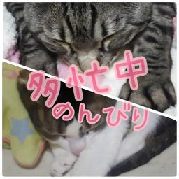 檄 帝国華撃団 改 セリフ役名入り サクラ大戦 Song Lyrics And Music By 帝国歌劇団 横山智佐 真宮寺さくら 富沢美智恵 神崎すみれ 高乃麗 マリア タチバナ Arranged By Clalachan On Smule Social Singing App 檄 帝国華撃団 改 セリフ役名入り サクラ大戦 Song Lyrics And Music By 帝国歌劇団 横山智佐 真宮寺さくら 富沢美智恵 神崎すみれ 高乃麗 マリア タチバナ Arranged By Clalachan On Smule Social Singing App
