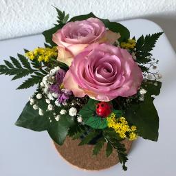 夢はひそかに Song Lyrics And Music By ディズニー シンデレラ 夢はひそかに Arranged By Jiji0104 On Smule Social Singing App